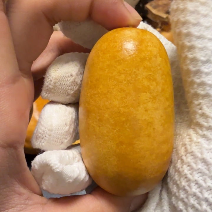 天***枢66……………………………………