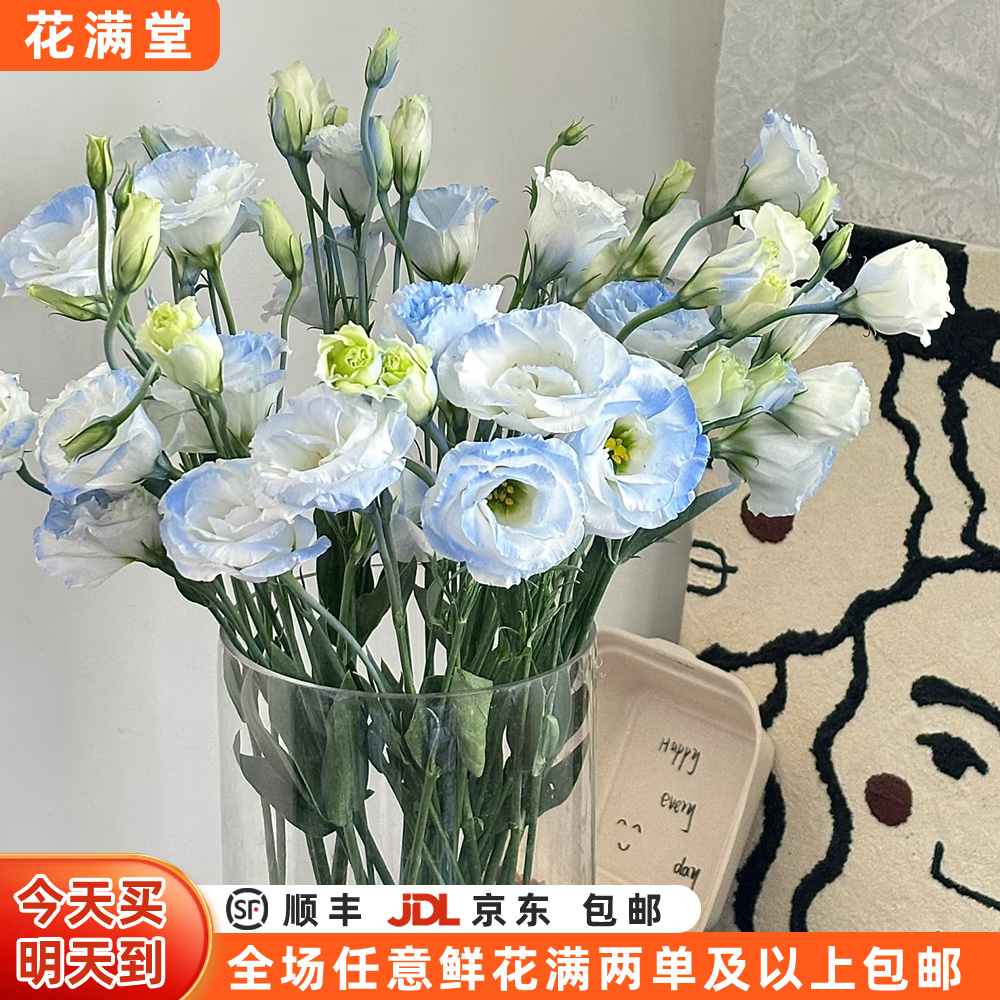 【次日达.碎冰蓝洋桔梗】家居花·鲜切花·全场两单鲜花顺丰京东包邮次日达·基地直发·批发·生活鲜花·次日达