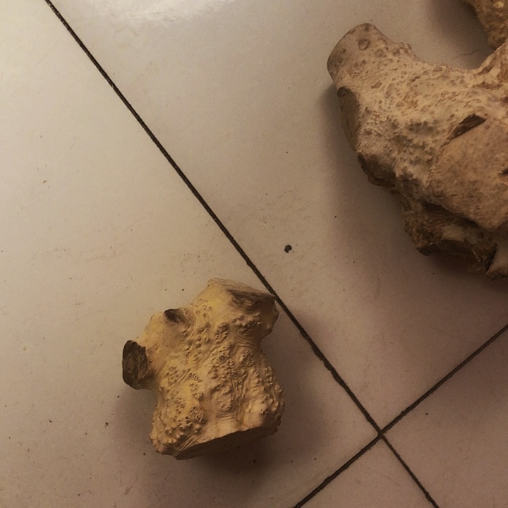 N***s木木料木料木料木料