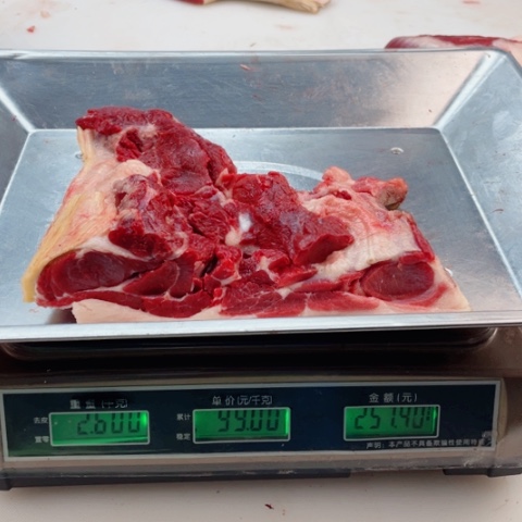 【闪购商品】冷冻保存30天包装河北省