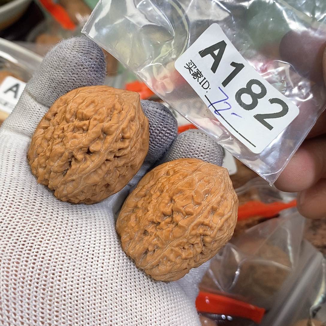 桃核把件大蒜头 33尺边