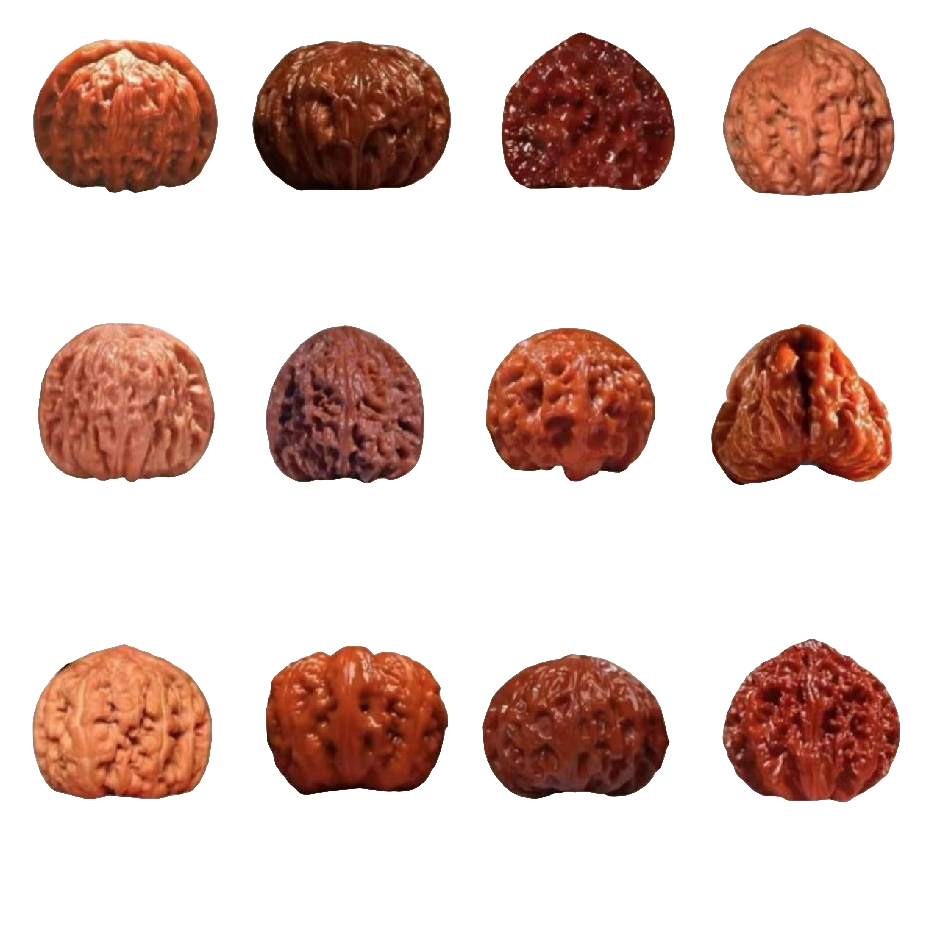 文玩麻核桃直播选款链接（南疆有黄属于正常，介意勿拍）