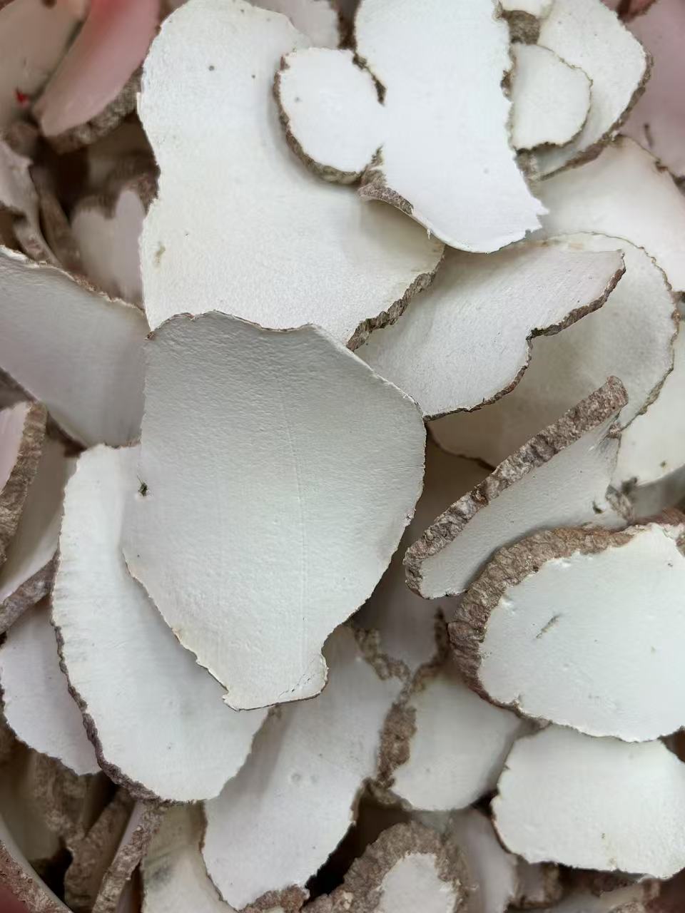 马来虎乳菌干货250-500克