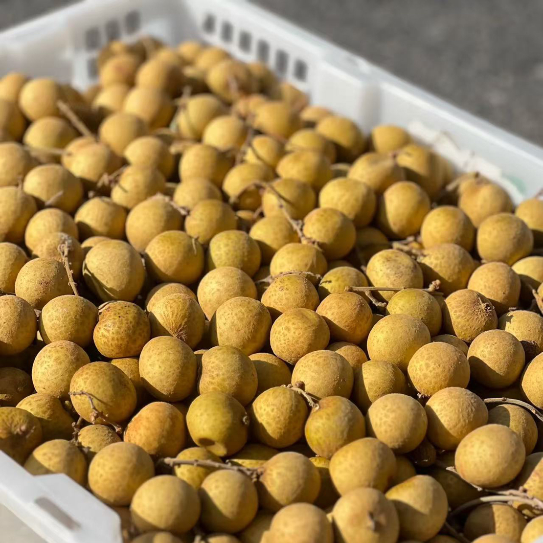 新鲜进口脆甜多汁泰国龙眼皮薄肉厚