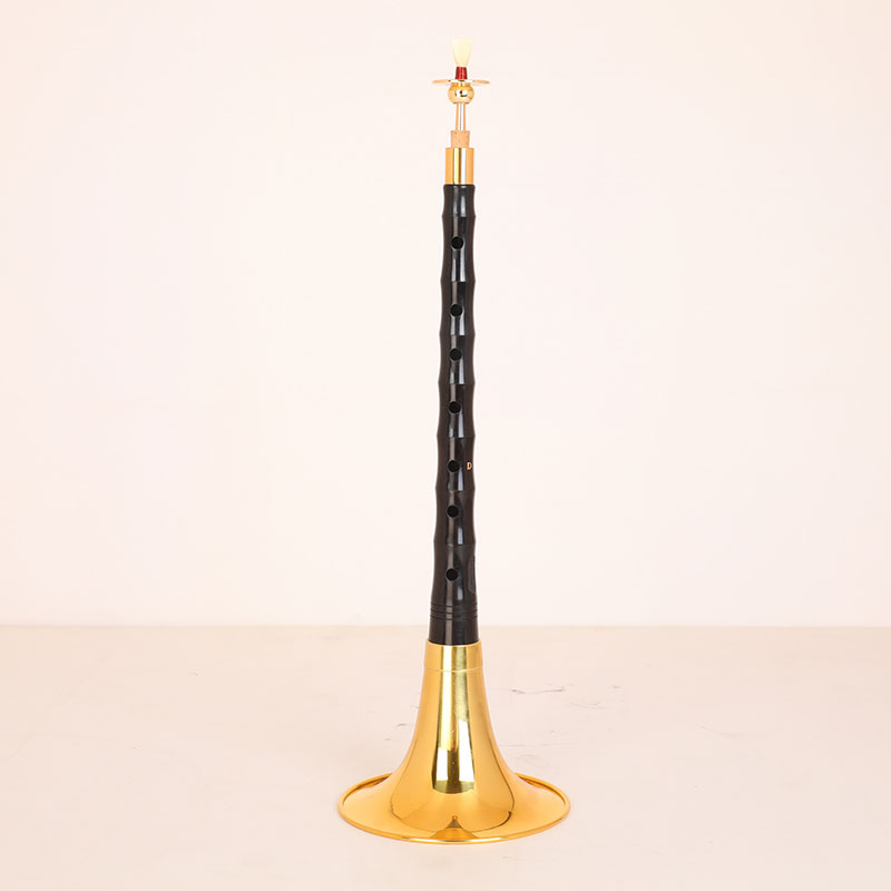 【直播严选】 观云系列黄铜漆金色专业乌木黑檀木紫光檀木唢呐全套