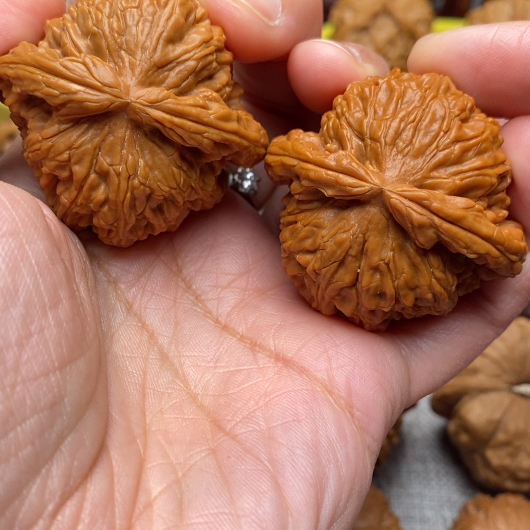 文玩核桃把件?****?全品毕业白狮子44尺