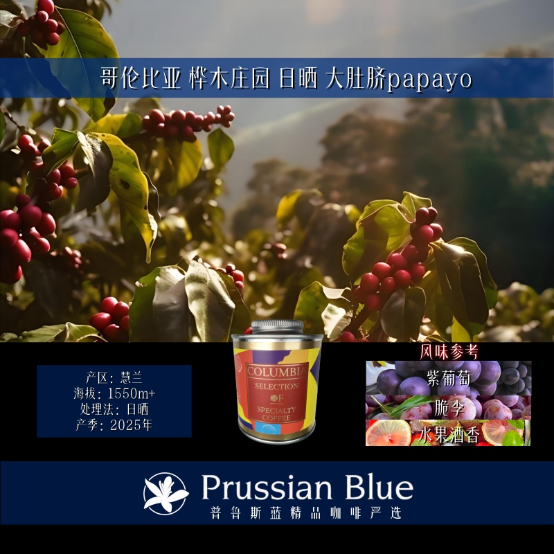 <大肚脐papayo>哥伦比亚.桦木庄园.日晒.精品咖啡豆