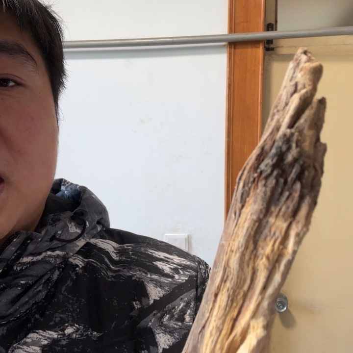 语***嫣木太行崖柏太行崖柏