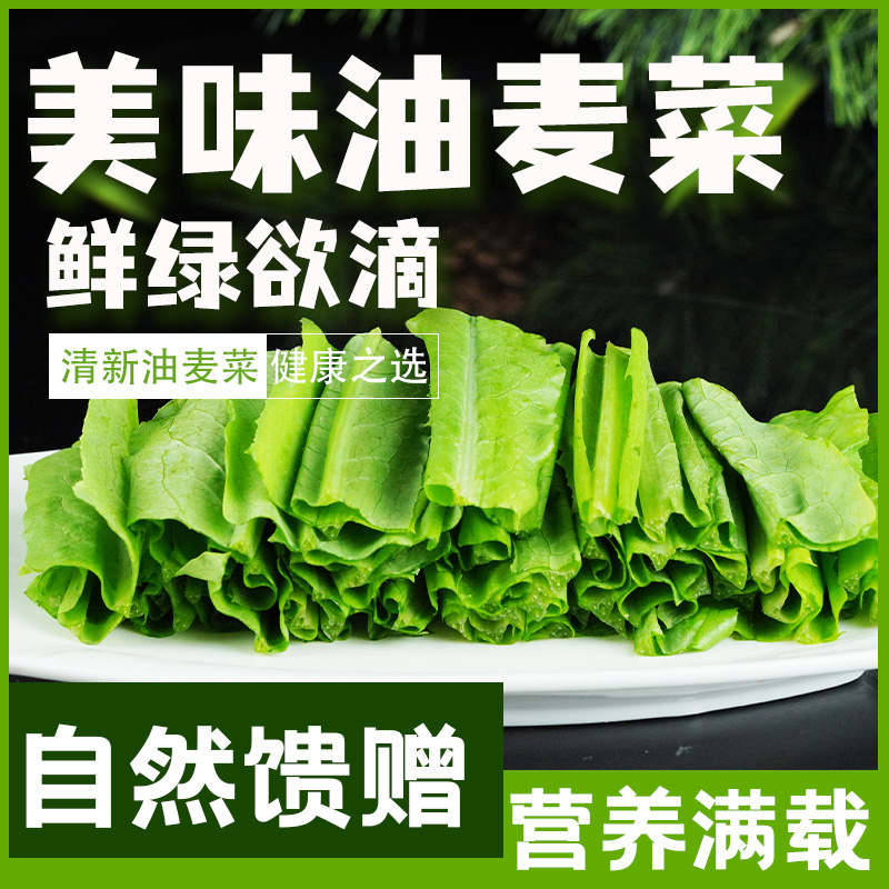 新鲜油麦菜香麦菜凤尾菜火锅时令蔬菜农家自种青菜蔬菜