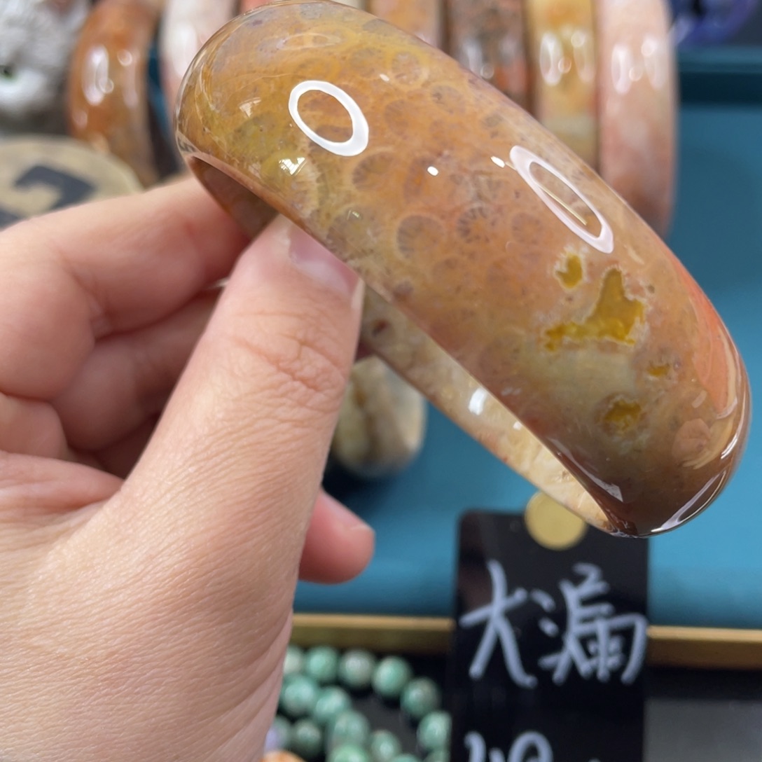 未镶嵌手镯硅化玉