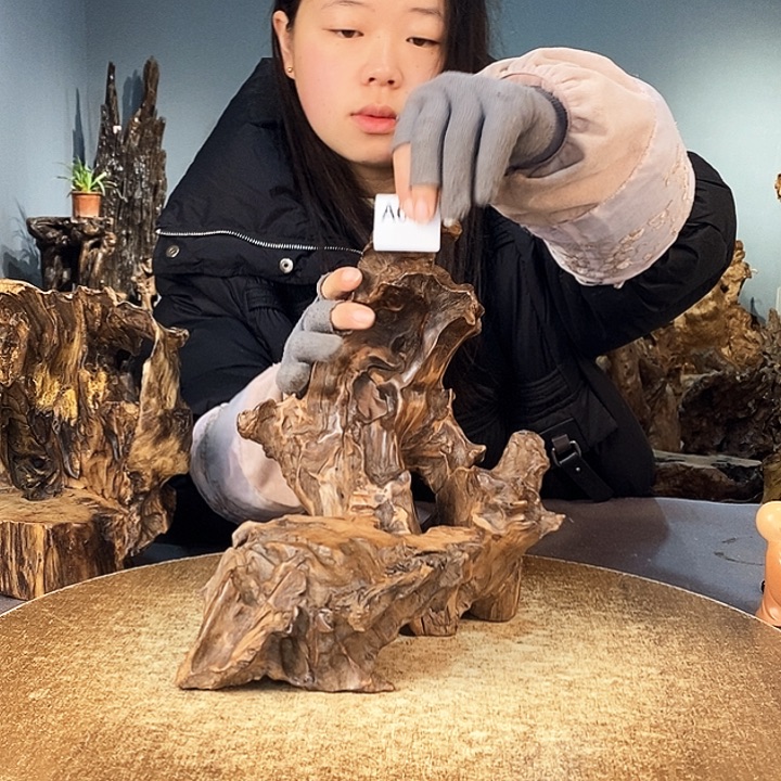 茶盏用****4657株木的随行的根艺