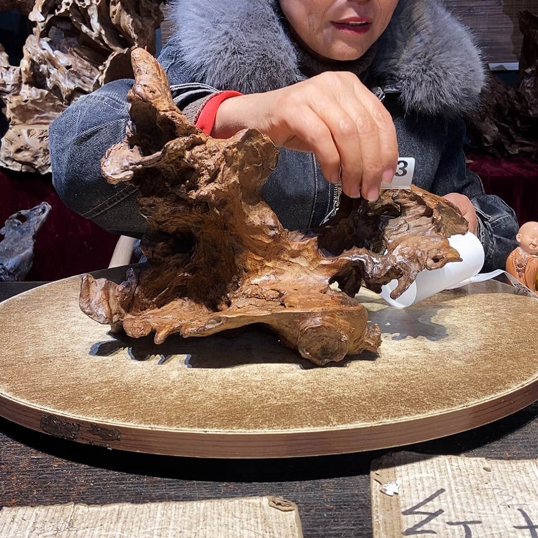 ღ***…893。随行根艺株木