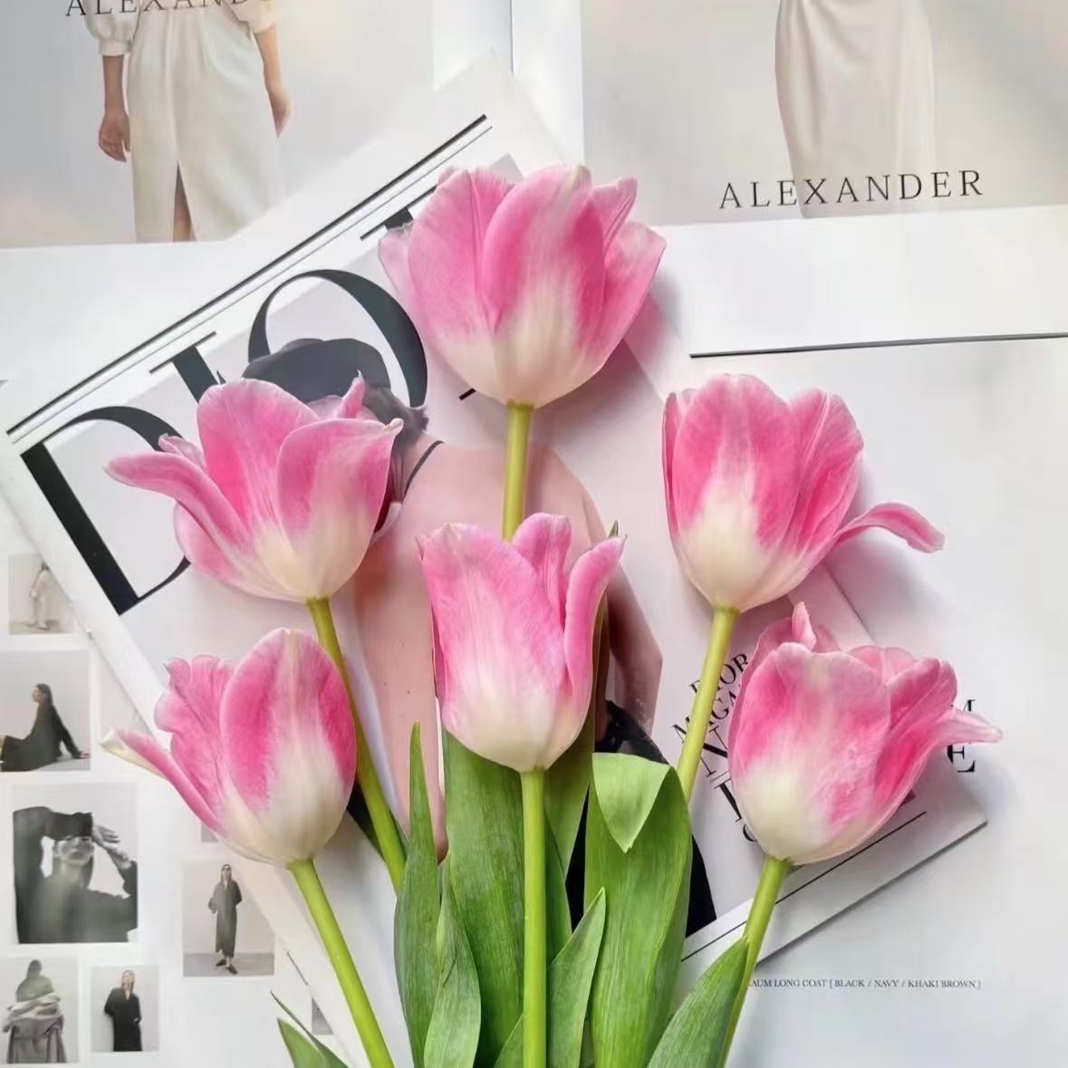 【植迷不误】郁金香 高端鲜切花 居家 插花 云南鲜花基地包邮直发 