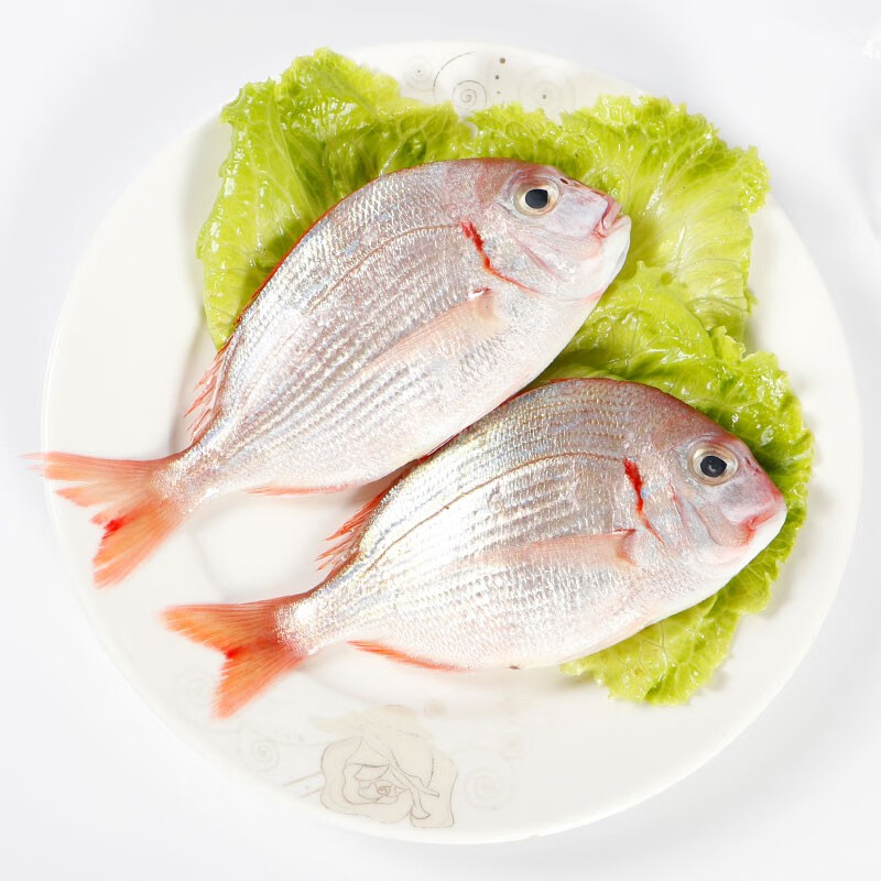 本港新鲜赤棕鱼 厦门发货顺丰包邮