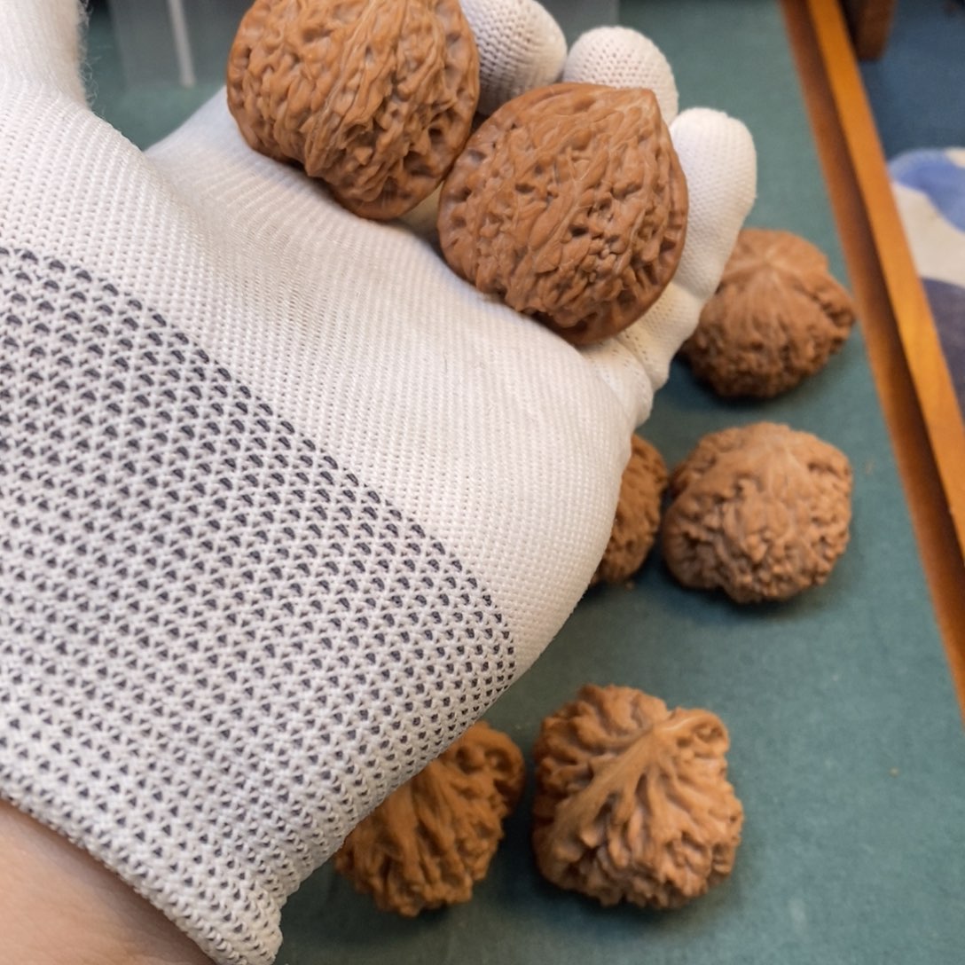 山***炖文玩核桃吊坠新品种