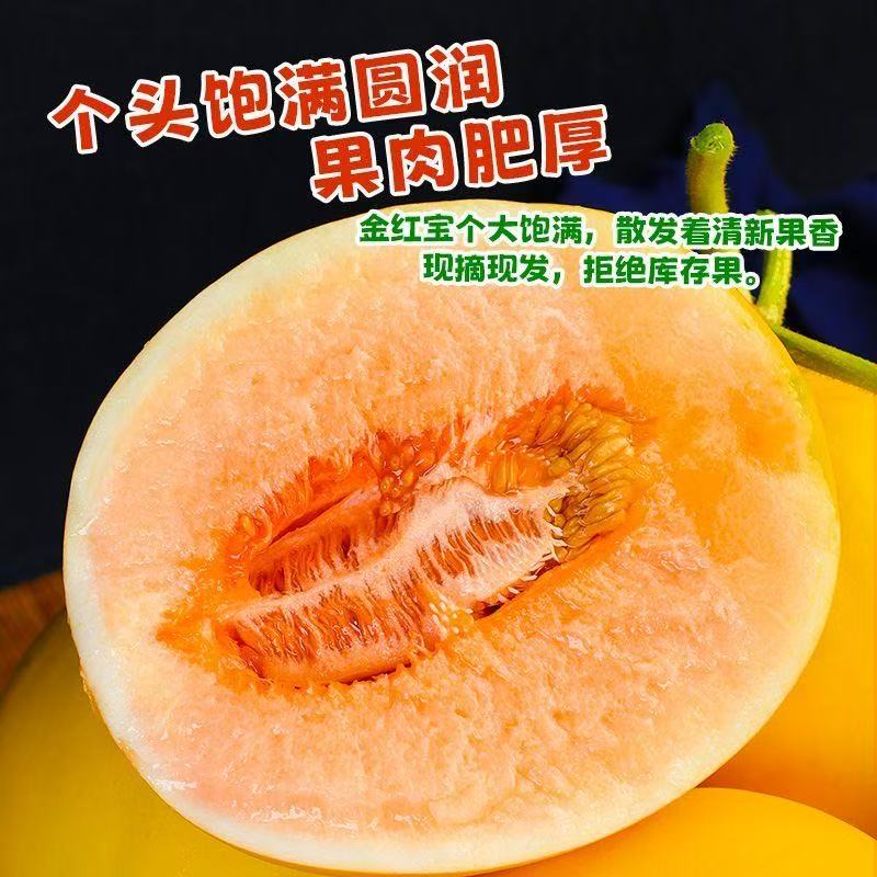 【辛平优选】民勤蜜瓜沙漠甜瓜头茬鲜果产地直