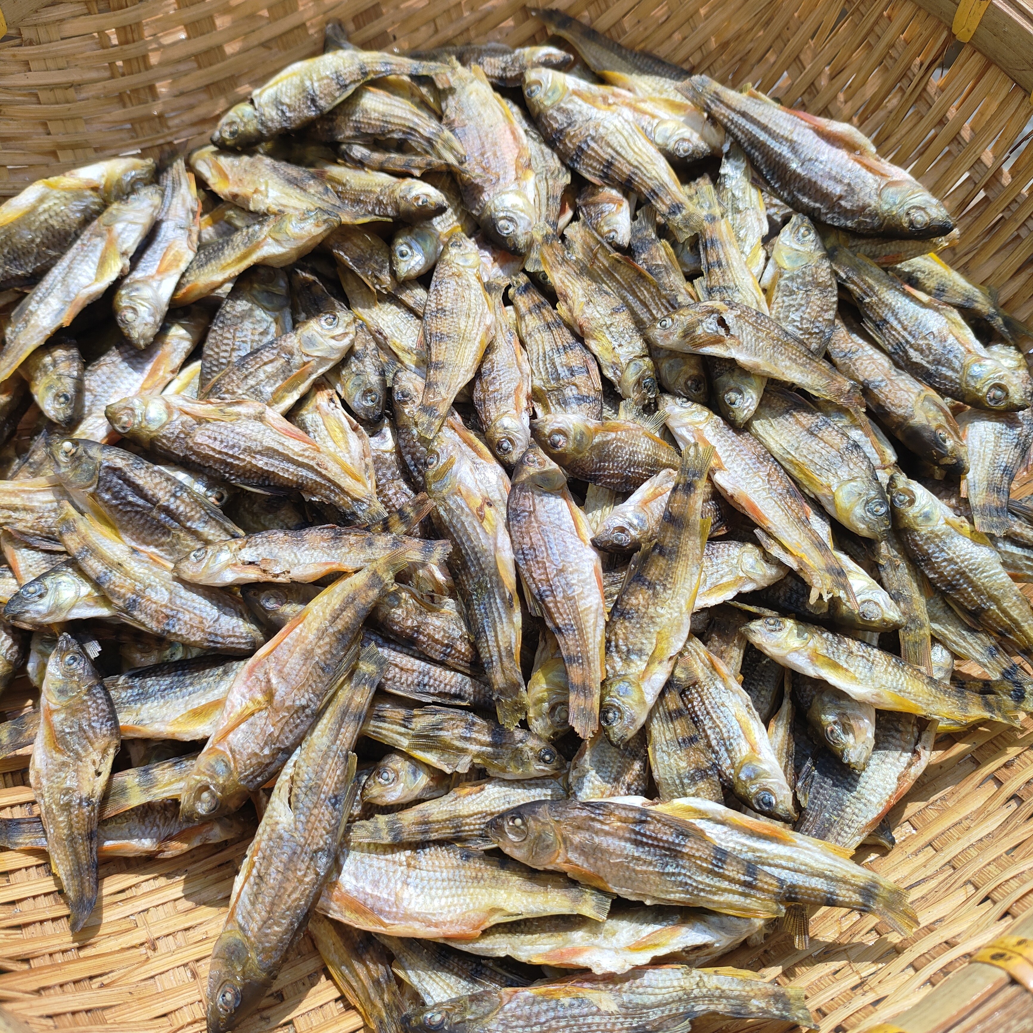 溪石斑鱼干，小个的8公分以下溪石斑鱼干，无盐无油无添加原味烤干