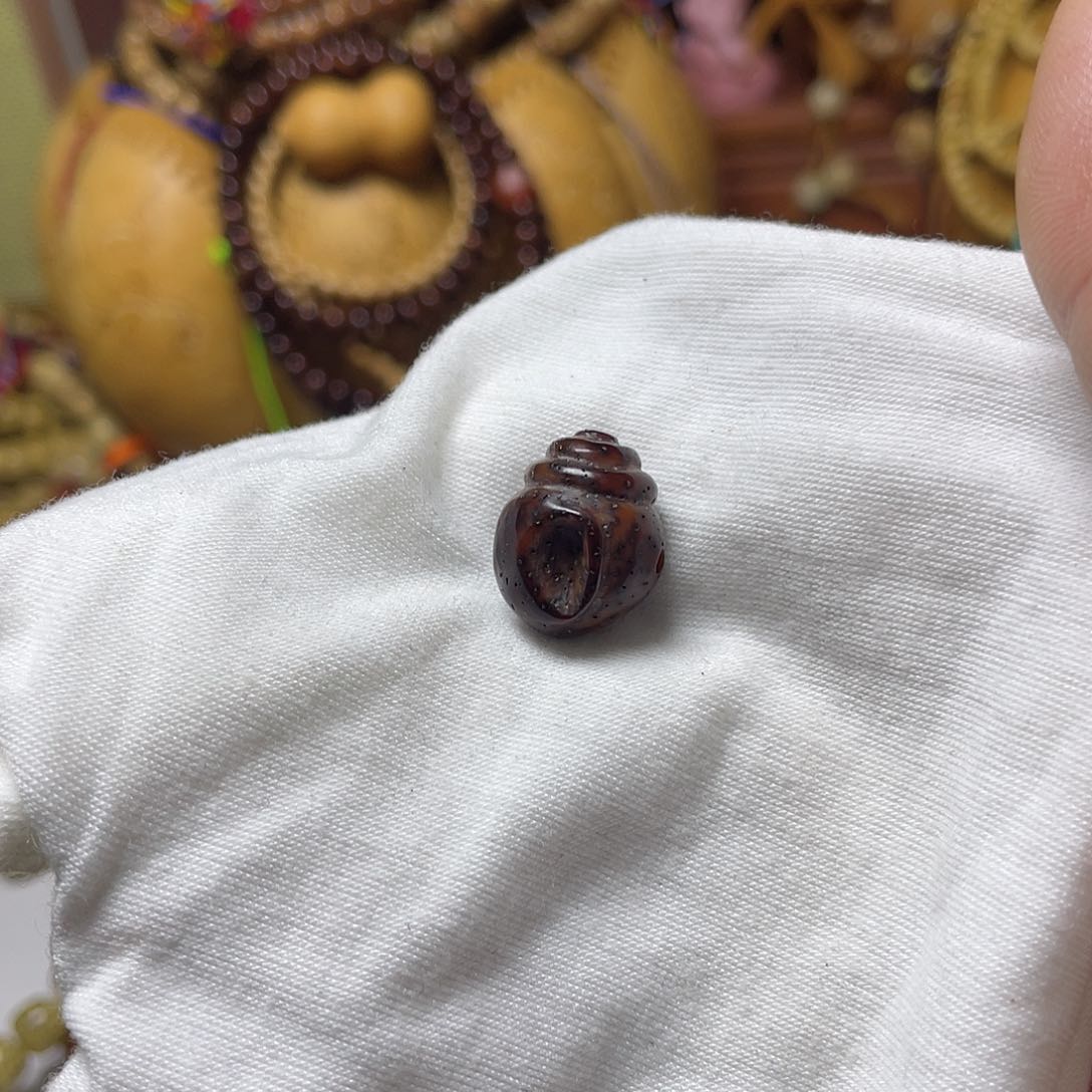 手串星月菩提雕刻海螺大尺寸玉化料