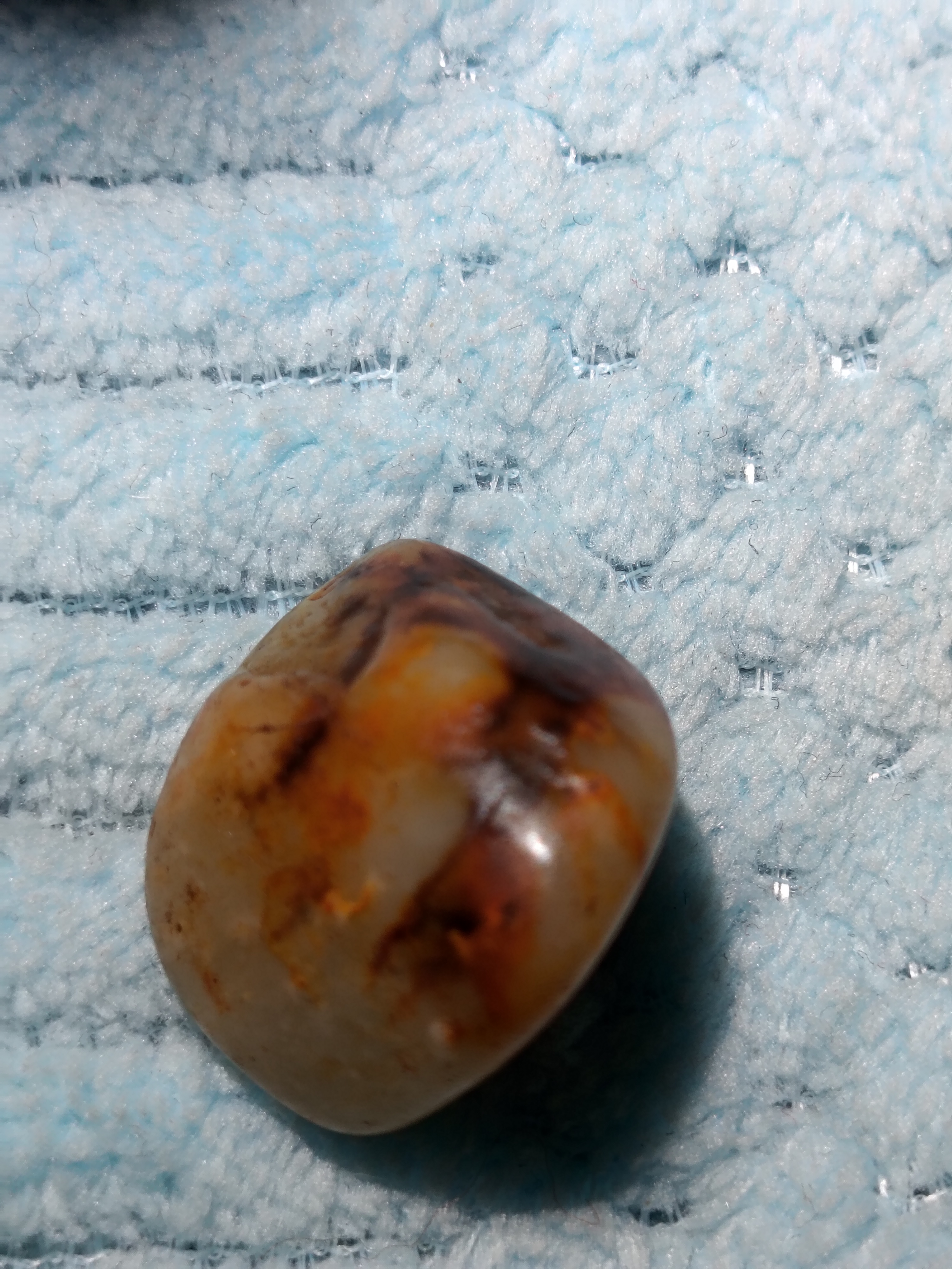 福利款的独籽小料子