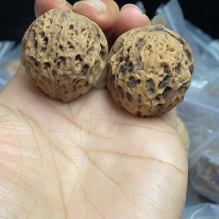 文玩核桃把件云南铁核桃基地45