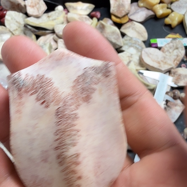 ～***～花岗石纯铜锡合金纯铜养殖鹿头骨制作三界牌