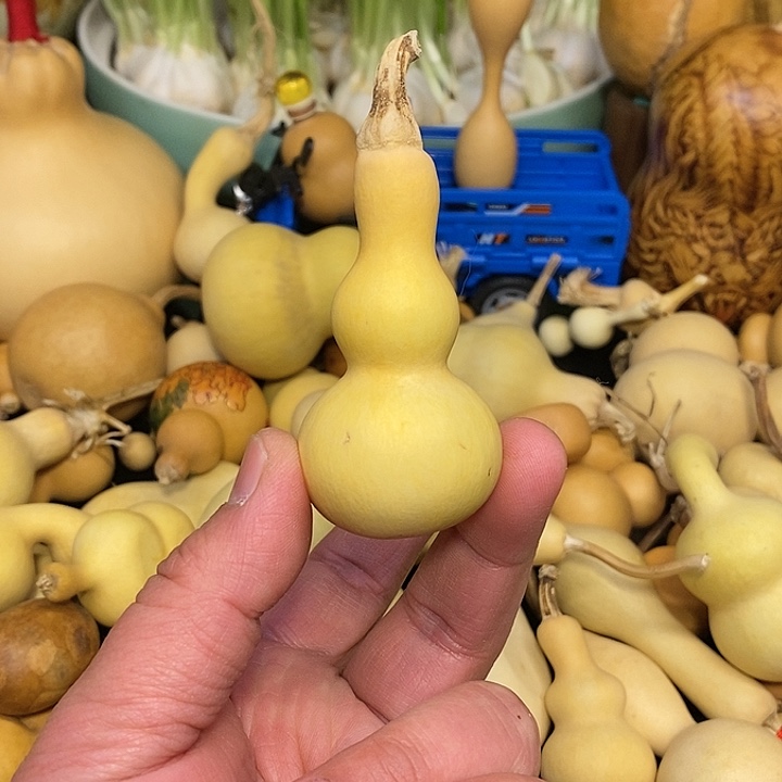 漫**?精品葫芦手把葫芦101