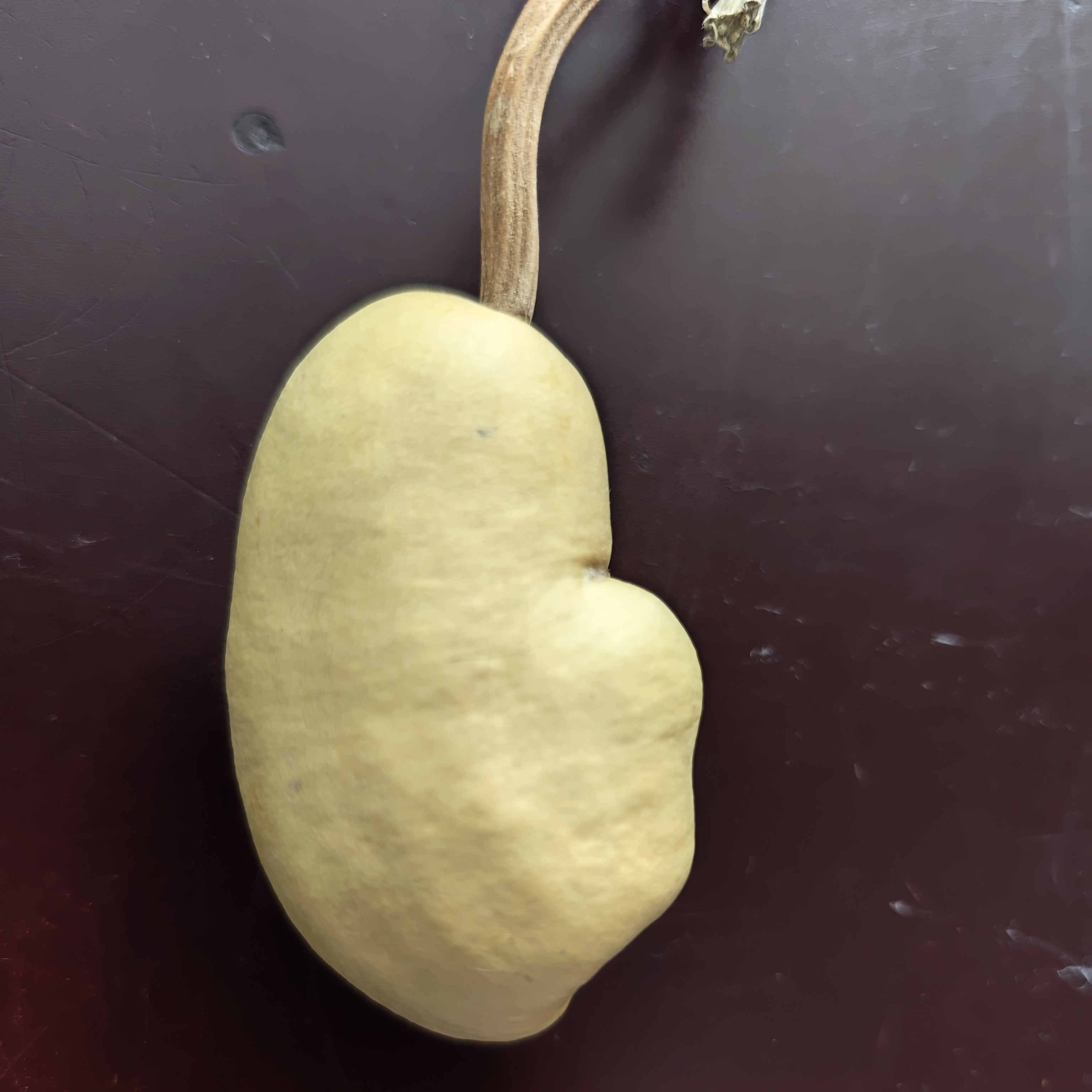 66 精品土豆文玩葫芦手把件