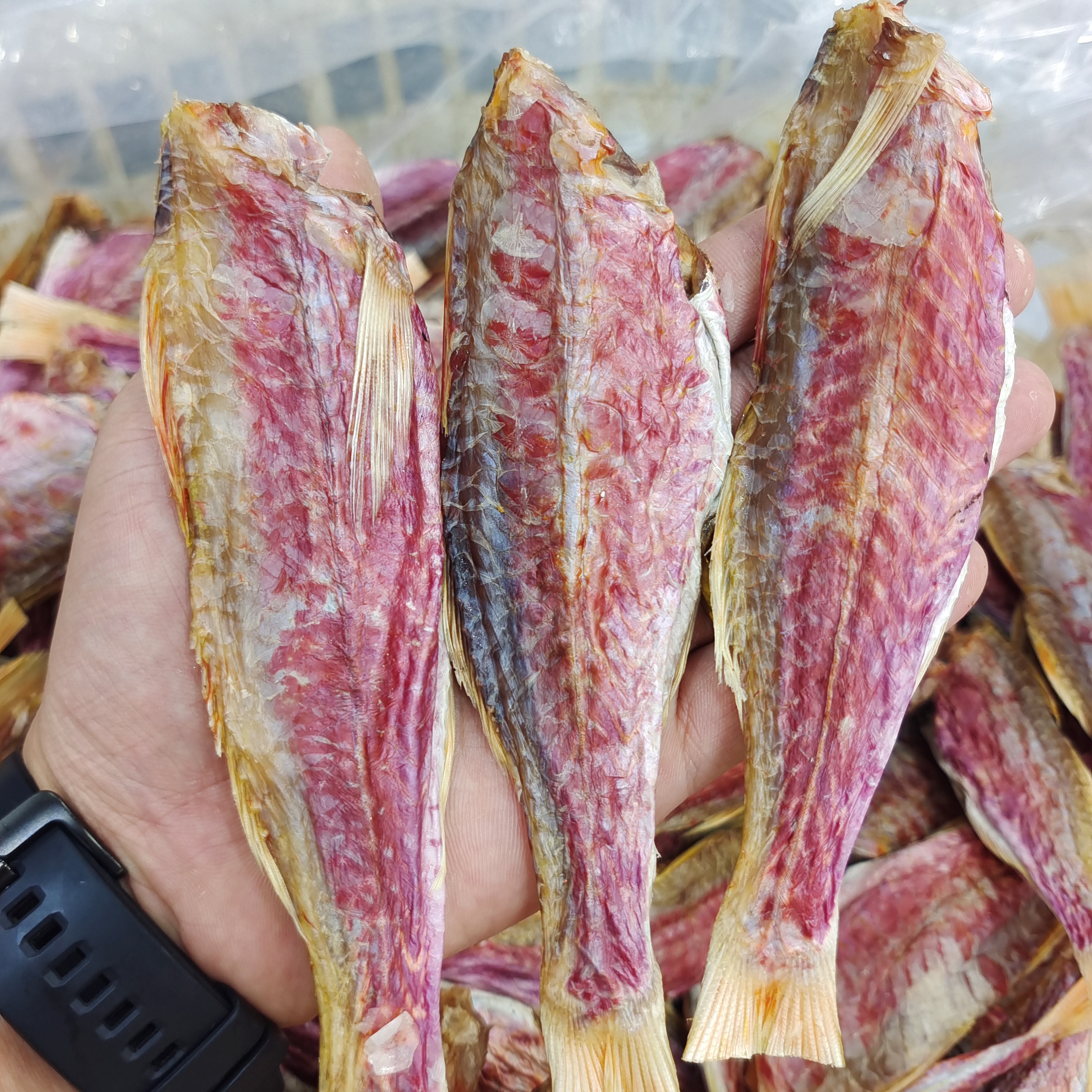 【马鲛仔海产】本港红娘鱼干 1斤装 微咸 顺丰包邮 茂名博贺港海产