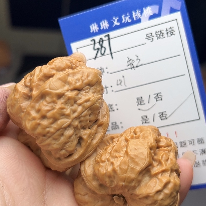 文玩核桃吊坠核桃树387
