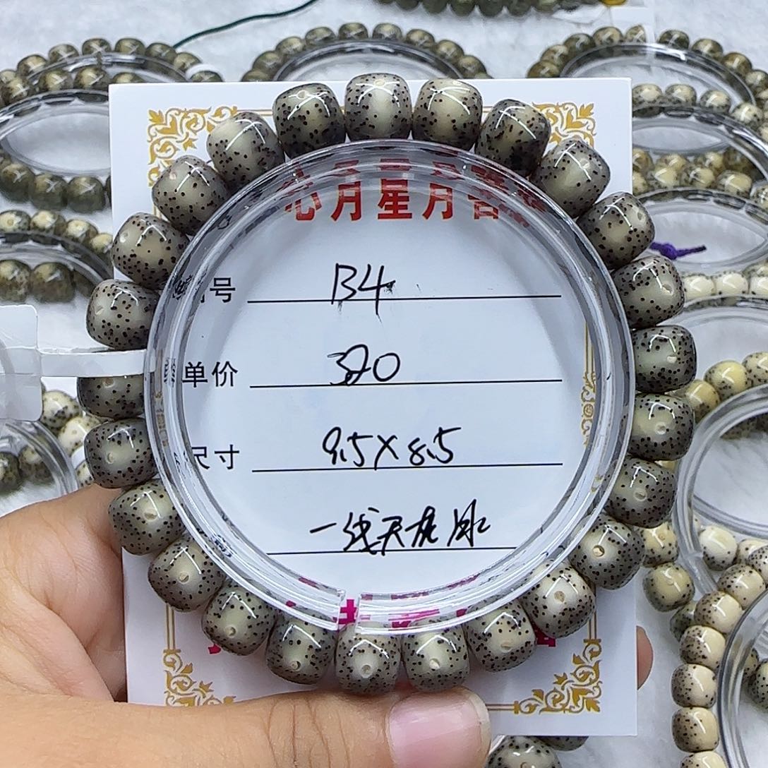 C****e心月星月菩提一号B4