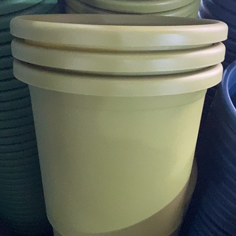 树脂四季5号果绿无托6个