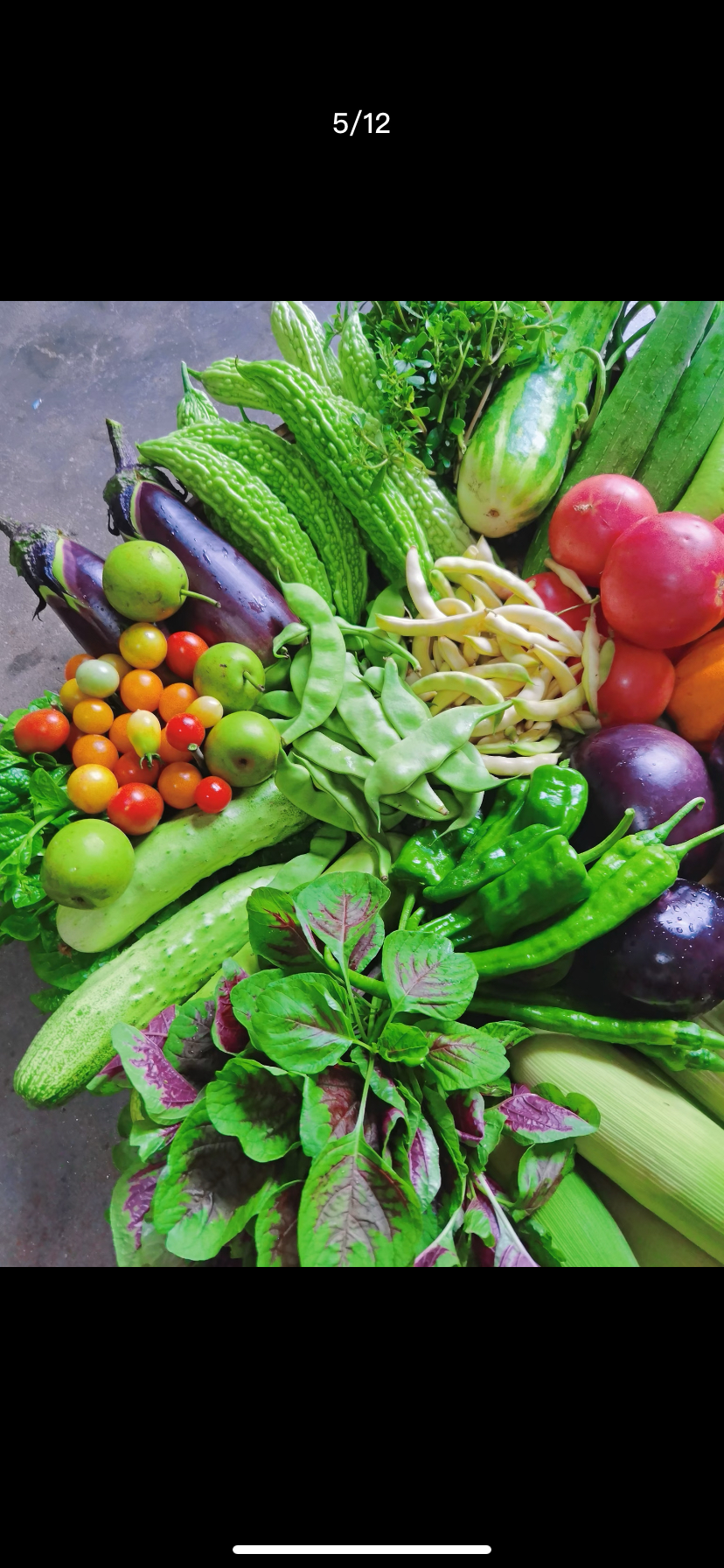 瓜果蔬菜  临时改价链接