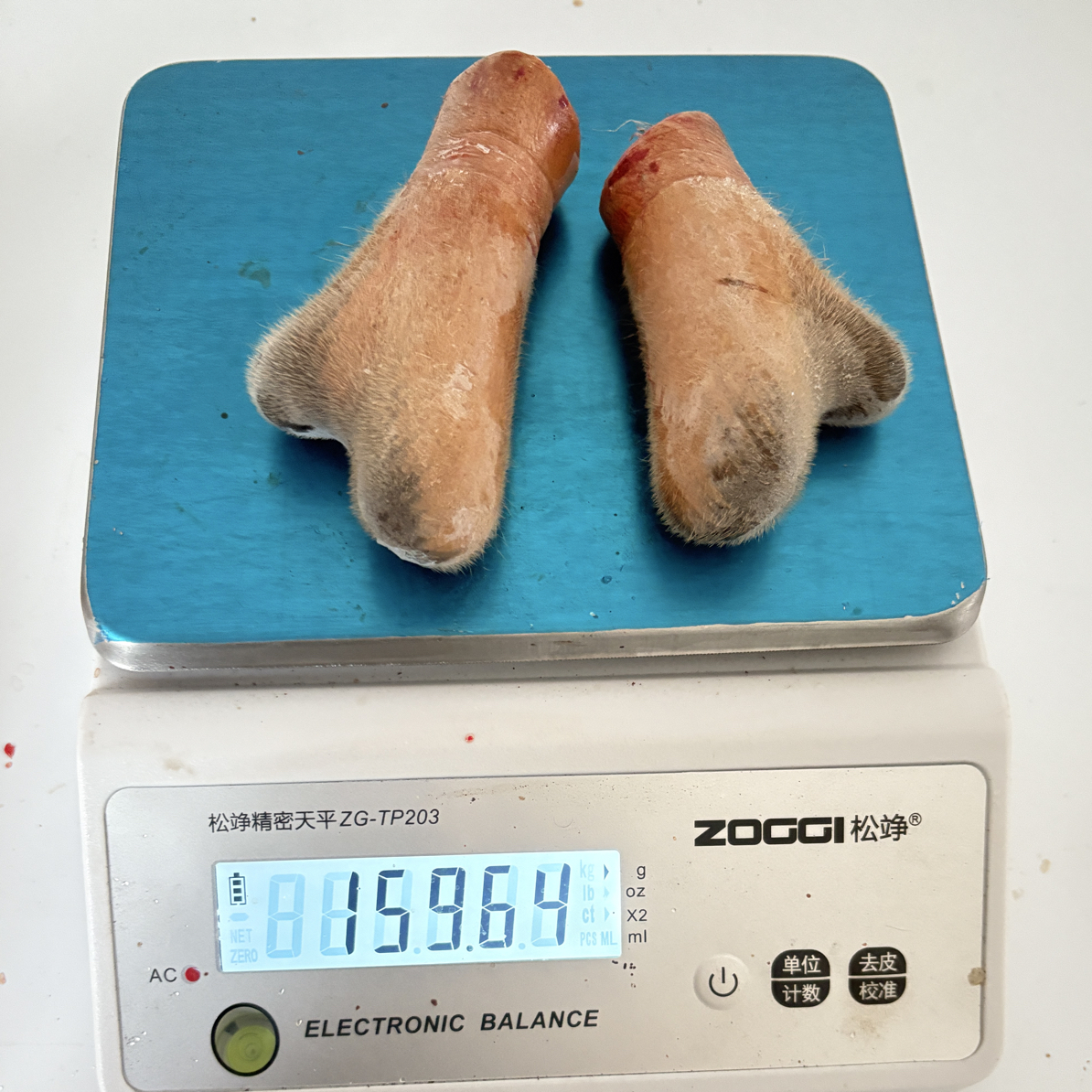 山林散养梅花鹿毛桃茸