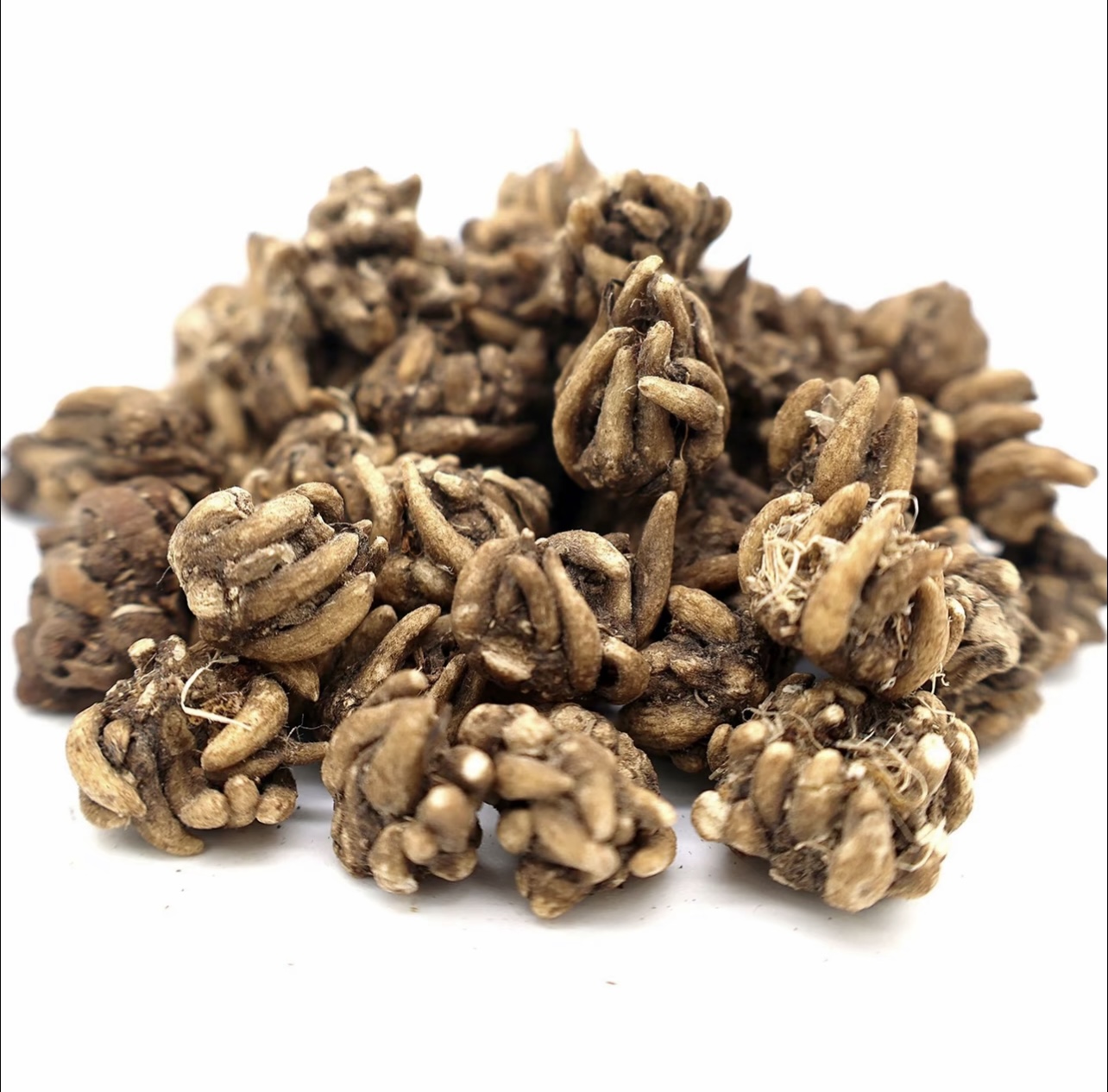 【海哥精选】猫 爪 草 农家高端好货 