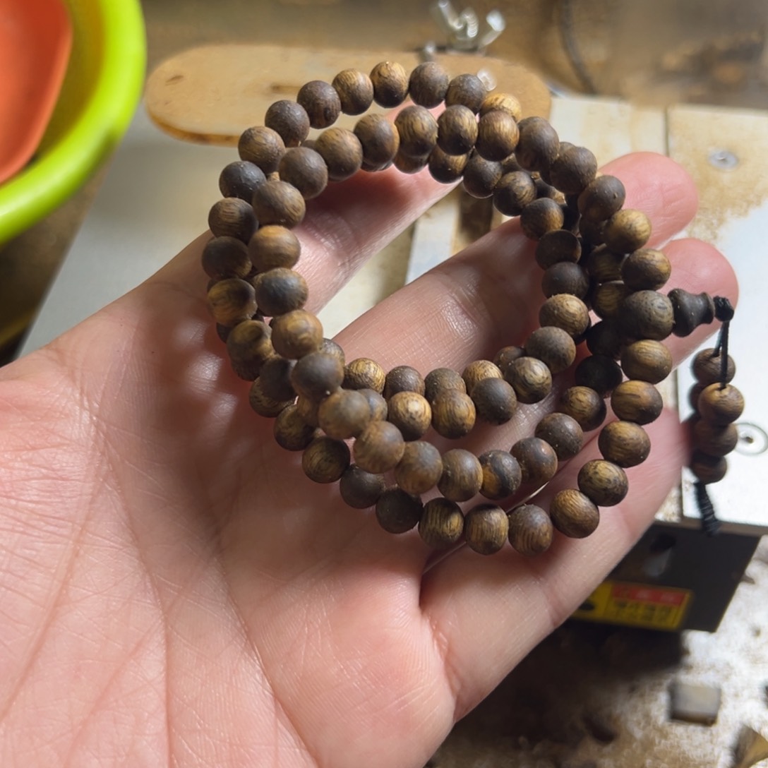 高油脂海南陆河品种卡7多圈