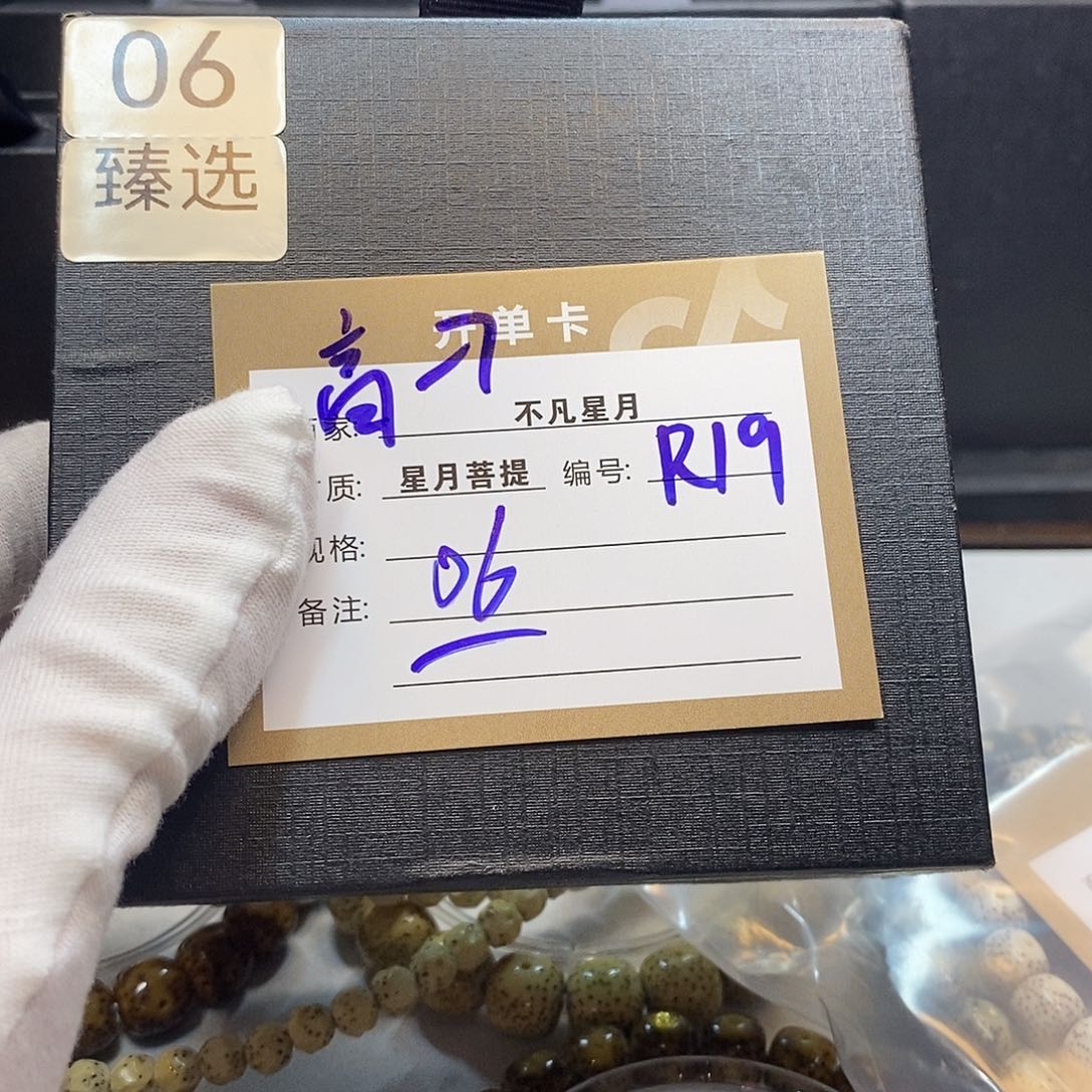 星月菩提手串11112222R19