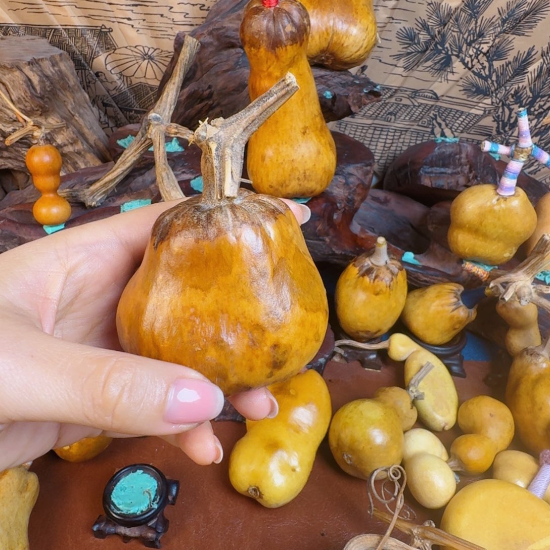 惊***蛰生生世世输入兔兔图图图图