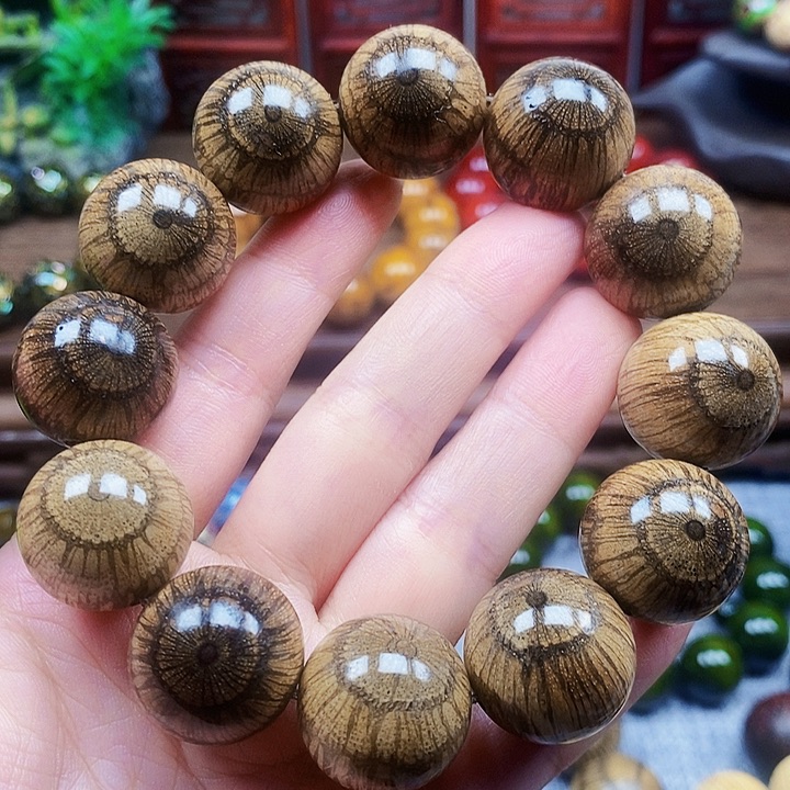 草***海藤类手串/手链买麻藤