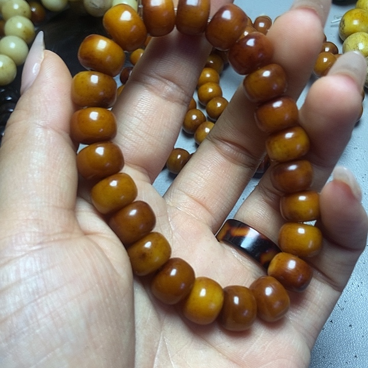 大果紫檀（缅甸花梨）