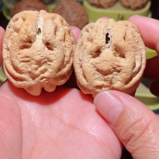文玩核桃把件乾坤鬼脸核了