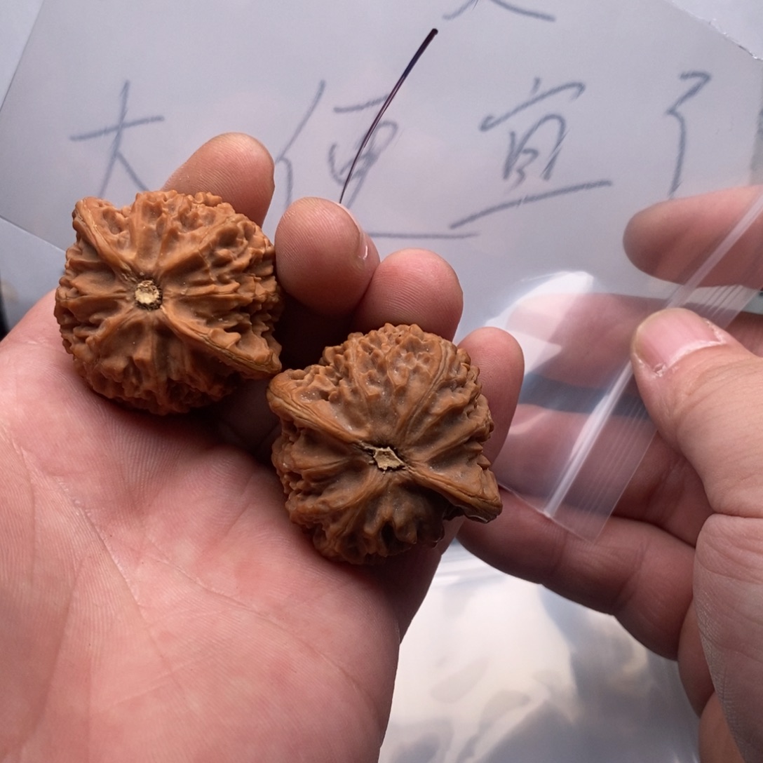 吊坠文玩核桃哈哈哈哈哈哈哈哈哈哈