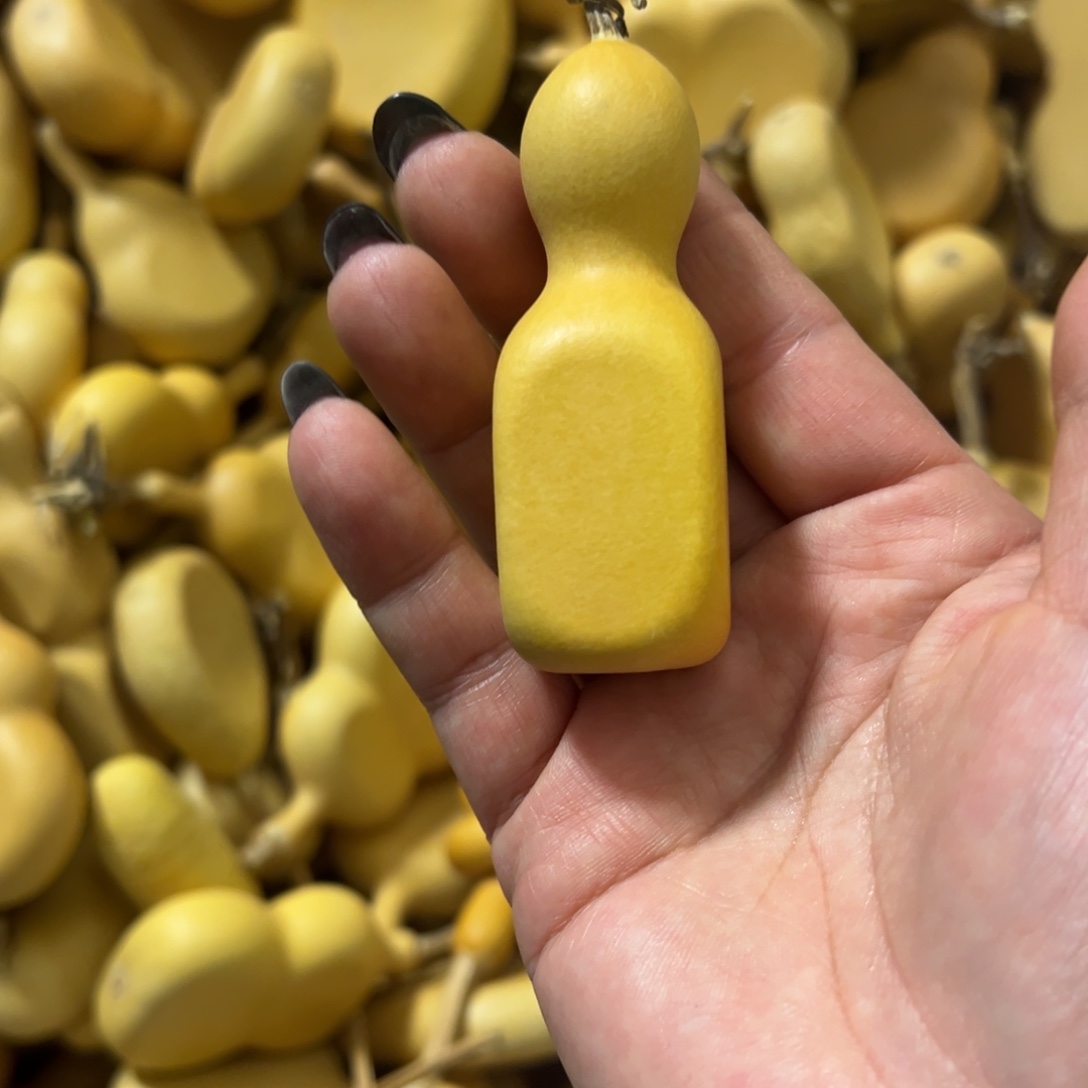 浅***ç木小金条可爱小奶块