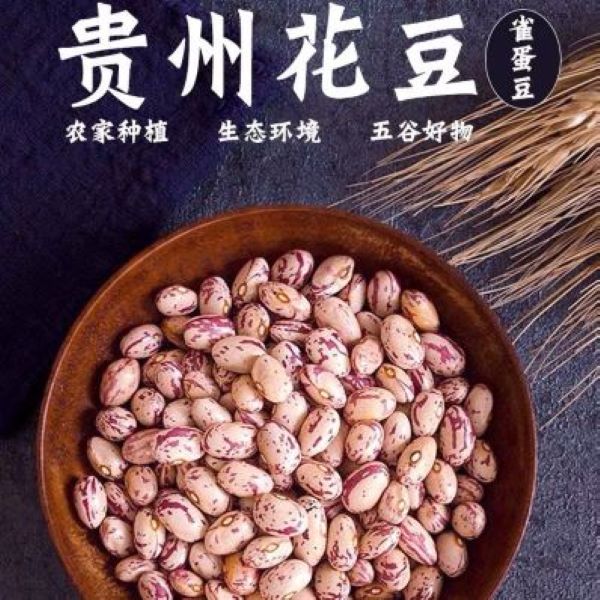 新鲜花豆干货贵州特产500克雀蛋豆豆子农家自种新干豆米