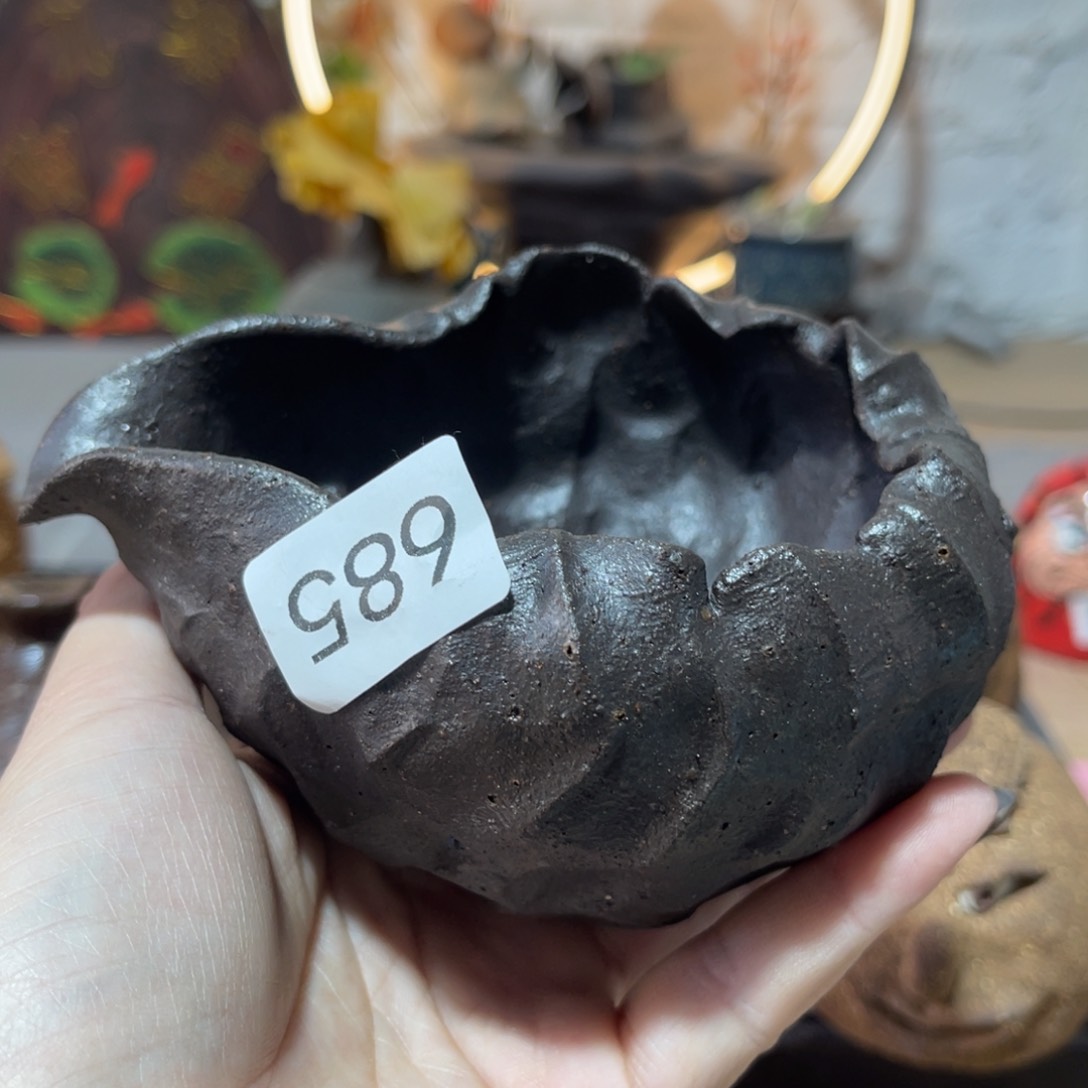 木村信弘柴烧保平