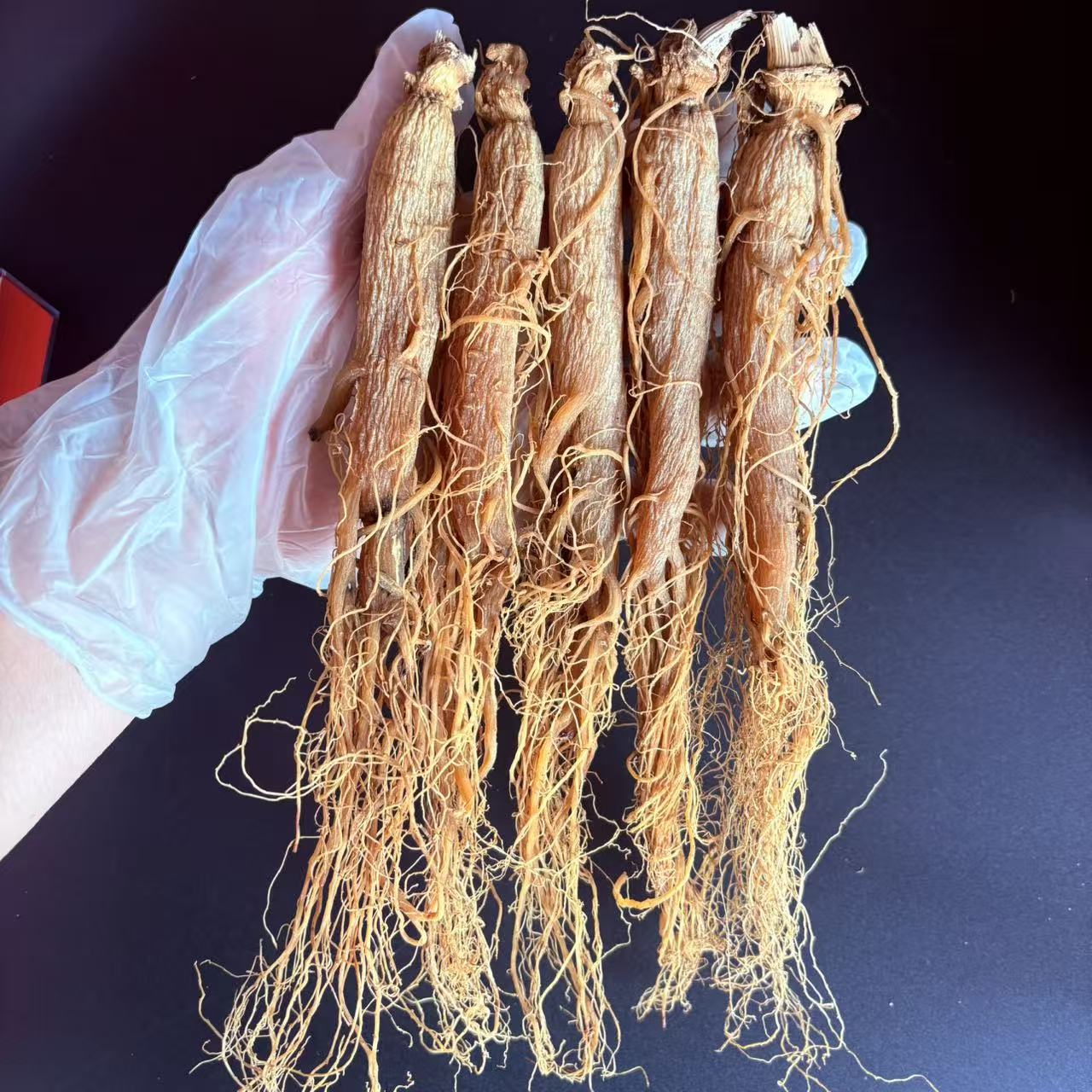 无糖足年整支长白山红全须人参带须