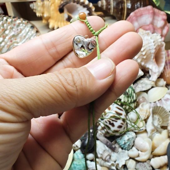 石材天然海螺贝壳