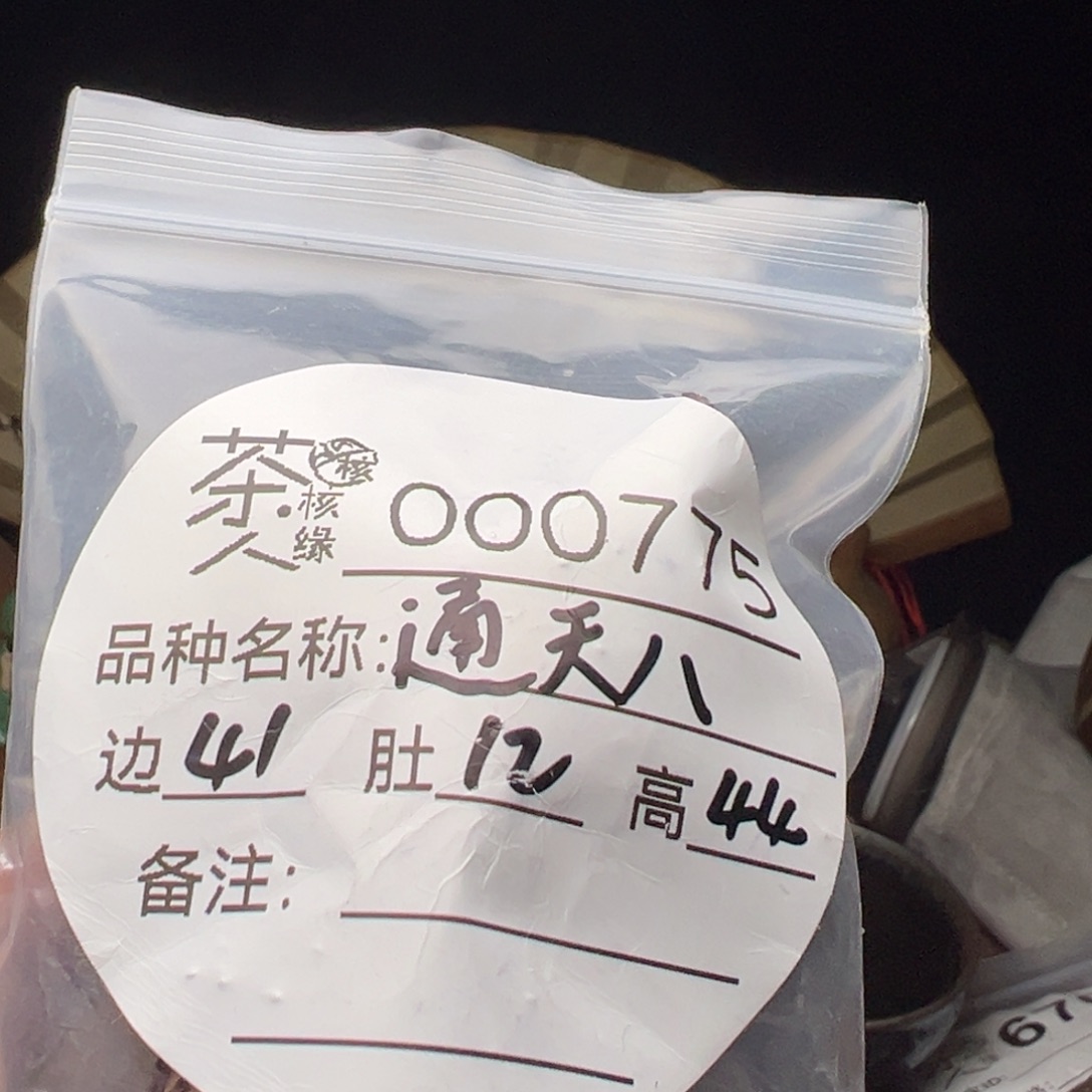 吊坠文玩核桃今天