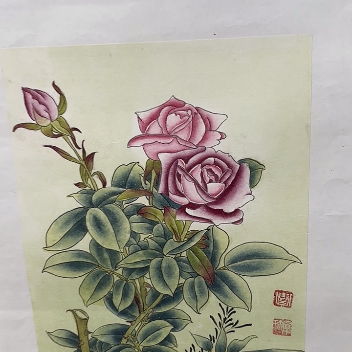 国画花鸟的翅膀和翅膀都是白色的