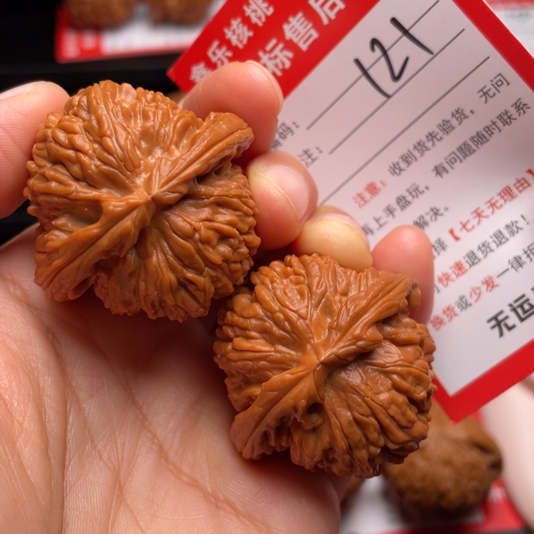 文玩核桃把件红皮白狮子41尺