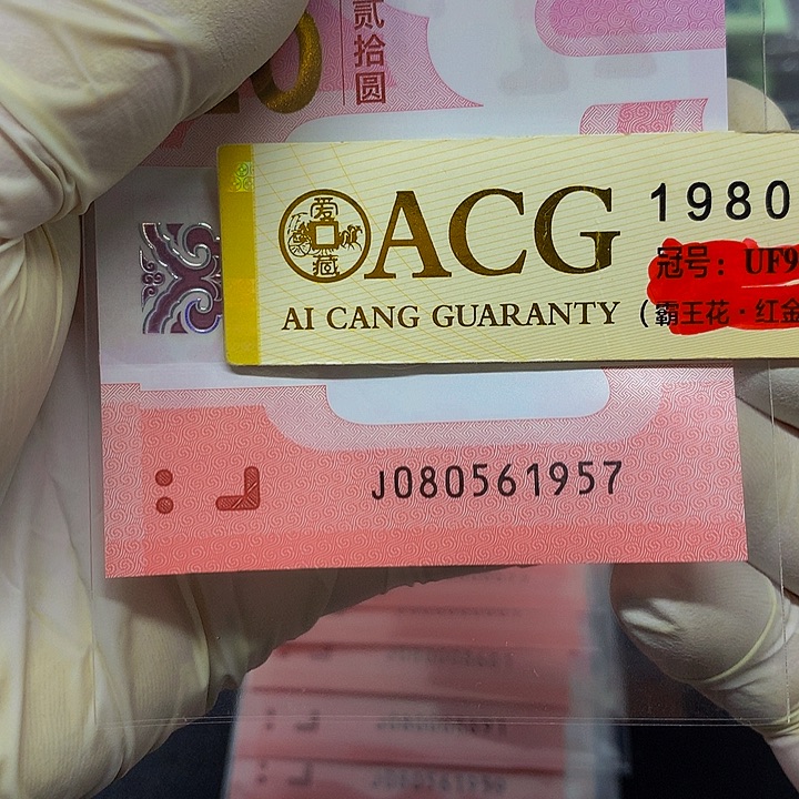 一张一张一张一张一张